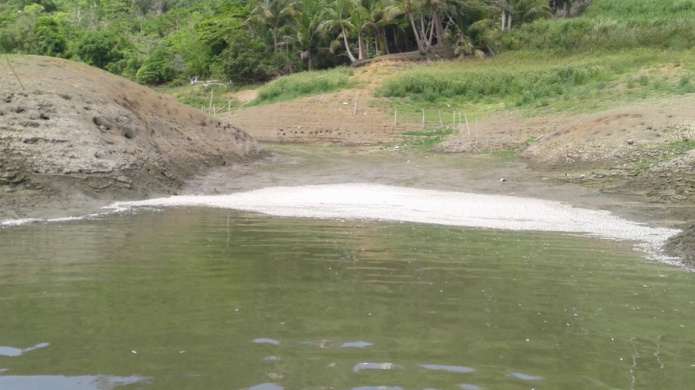 Dos dÃ­as de mortandad de peces en el Embalse La Plata
