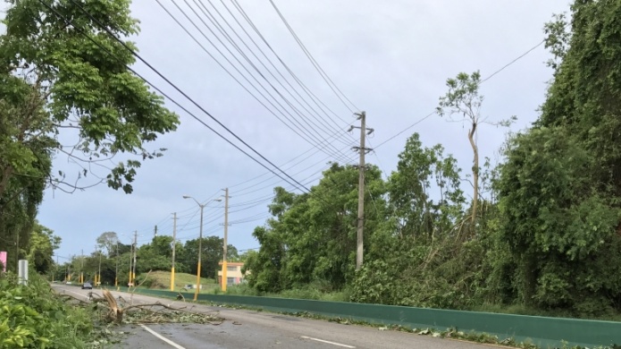 Carretera #2, en el barrio Pueblo Nuevo de Vega Baja, estÃ¡ parcialmente obstruida