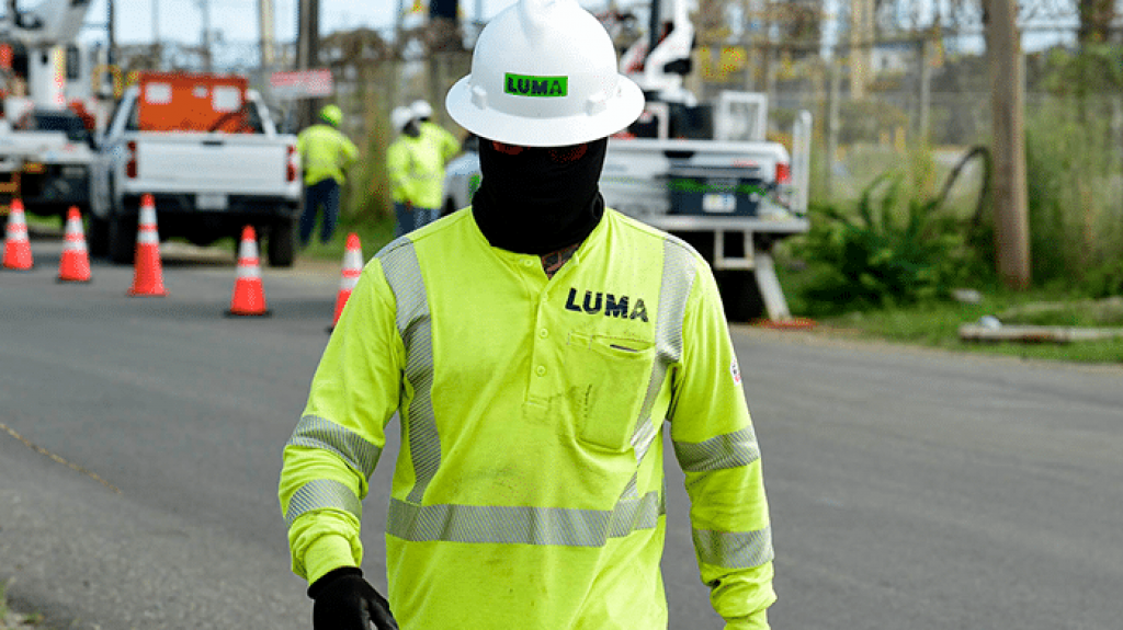  Les pican las abejas a empleados de brigada de LUMA en Naranjito 