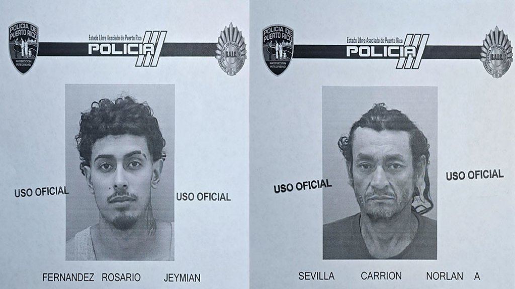  Fotos: Arrestados en Vega Baja con 24 libras de marihuana 