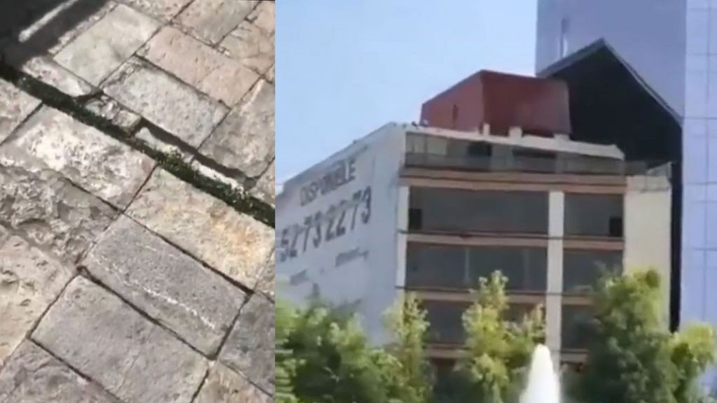  Video: As&iacute; se mov&iacute;a el suelo durante el terremoto de M&eacute;xico hoy 