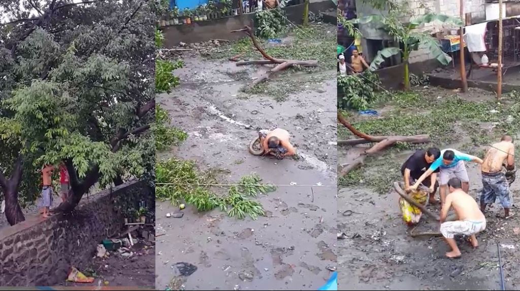  Video: Ellos no cazan &ldquo;gallinas de palo&rdquo; Cazan gigantescas serpientes (Sin miedoooo Alguno) 