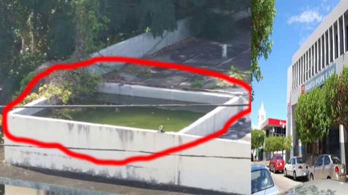 Denuncian criadero de mosquitos en edificio del Banco Popular cerca de centro de vacunaciÃ³n en MayagÃ¼ez
