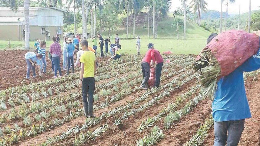  Asociaci&oacute;n de Agricultores reclama extensi&oacute;n $600 millones al PAN 