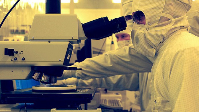 Descubren la manera de detener la metÃ¡stasis del cÃ¡ncer