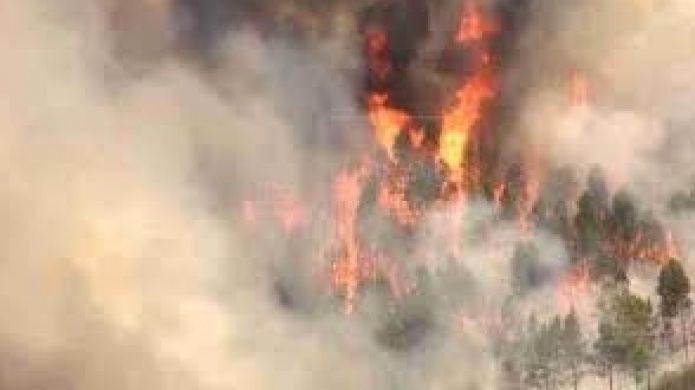 Video: Los fuegos han arrasado 213.986 hectÃ¡reas en Portugal, el peor dato en una dÃ©cada