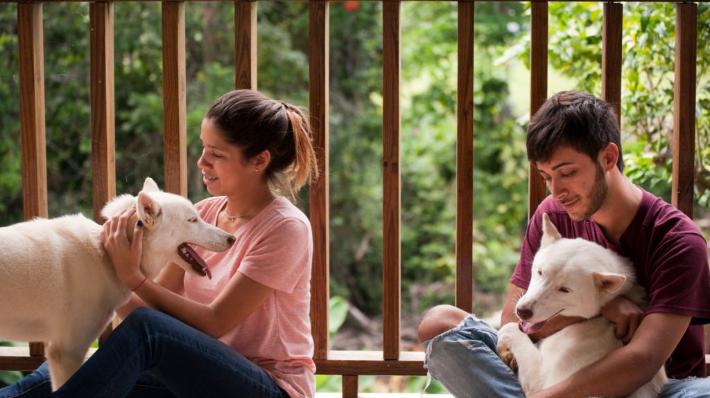  Buscan hogares de crianza temporeros para adolescentes 