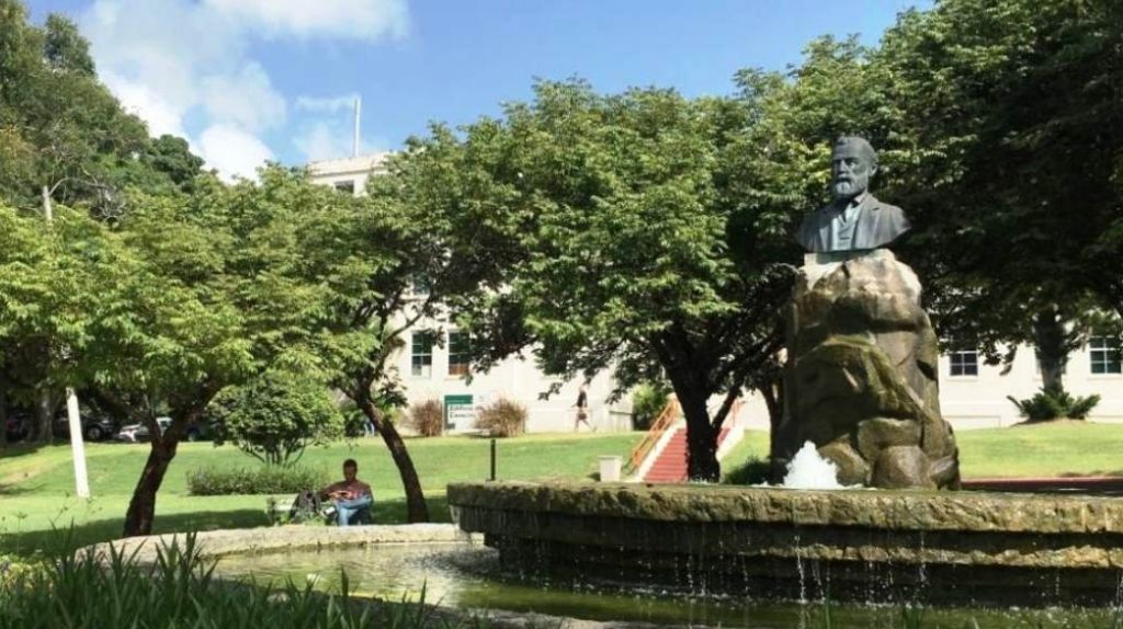 UPR en Cayey desarrolla estudio para reforzar conexiÃ³n con egresados a travÃ©s de redes sociales