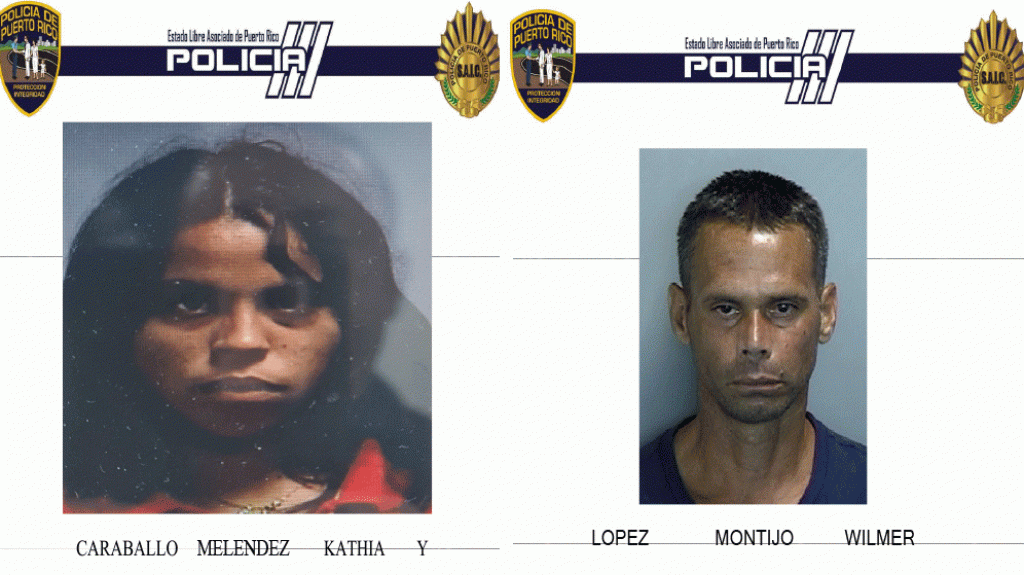  A la c&aacute;rcel, agredieron a polic&iacute;as en Juana Diaz cuando fueron a citarlos por robo 