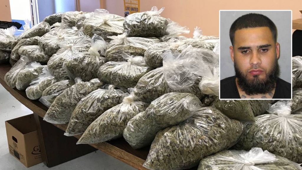  Vivía una lujosa vida en Miami y salía con el rapero Rick Ross. Hasta que la policía encontró 105 libras de marihuana 