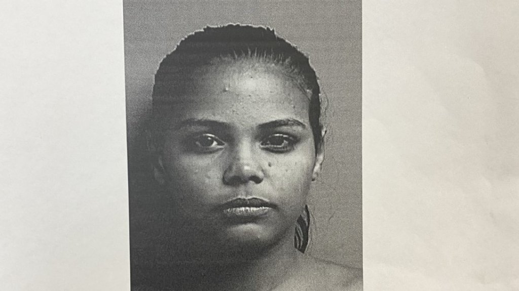  Acusan a una mujer por Violencia de G&eacute;nero y Ley de Armas 