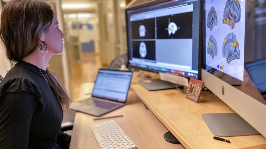  M&aacute;s de 520 estudiantes postulan a programa preuniversitario Sagrado-MIT 