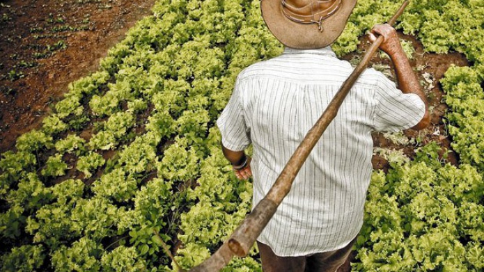 MEDIDA BUSCA PROTEGER COSECHAS Y FONDOS DISPONIBLES PARA EL AGRO