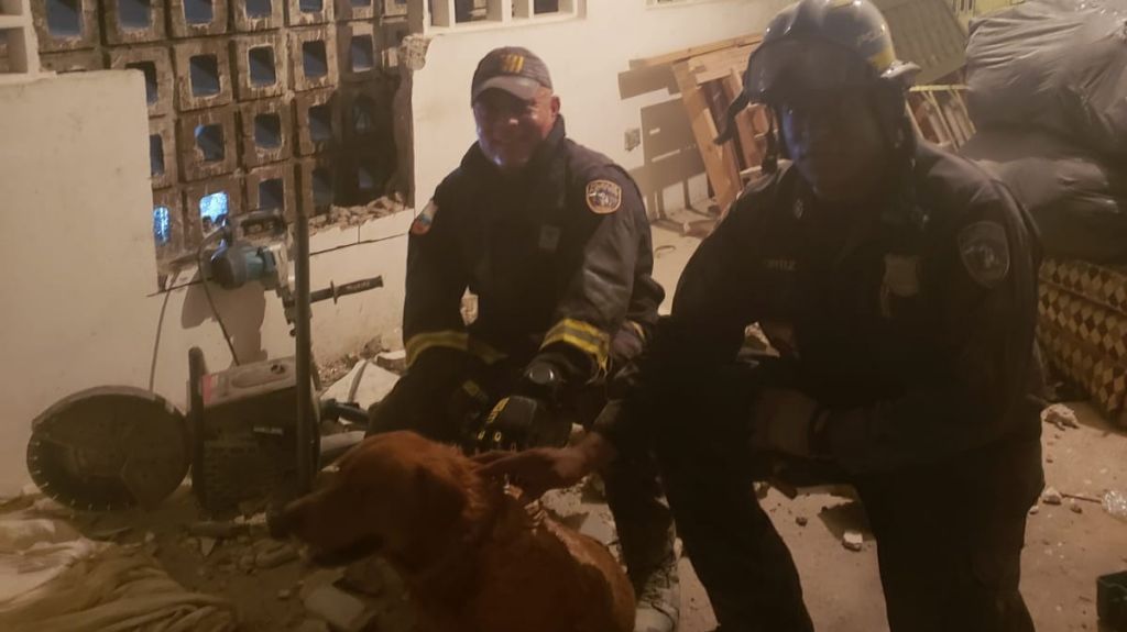  Video: Agentes de FURA rompen pared para rescatar perro 
