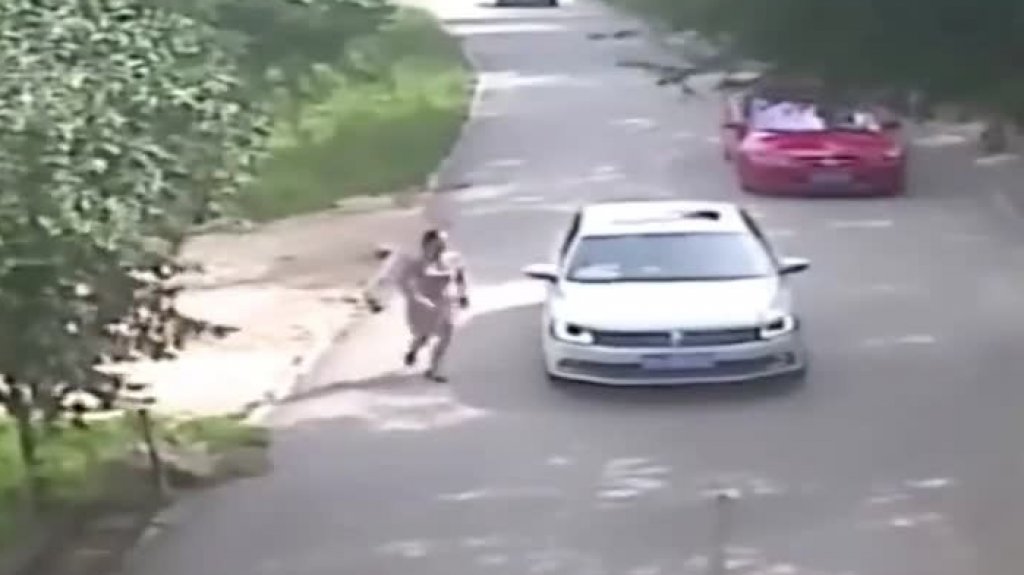  Video: Una mujer se baja del auto en un Safari y es atacada por un tigre 