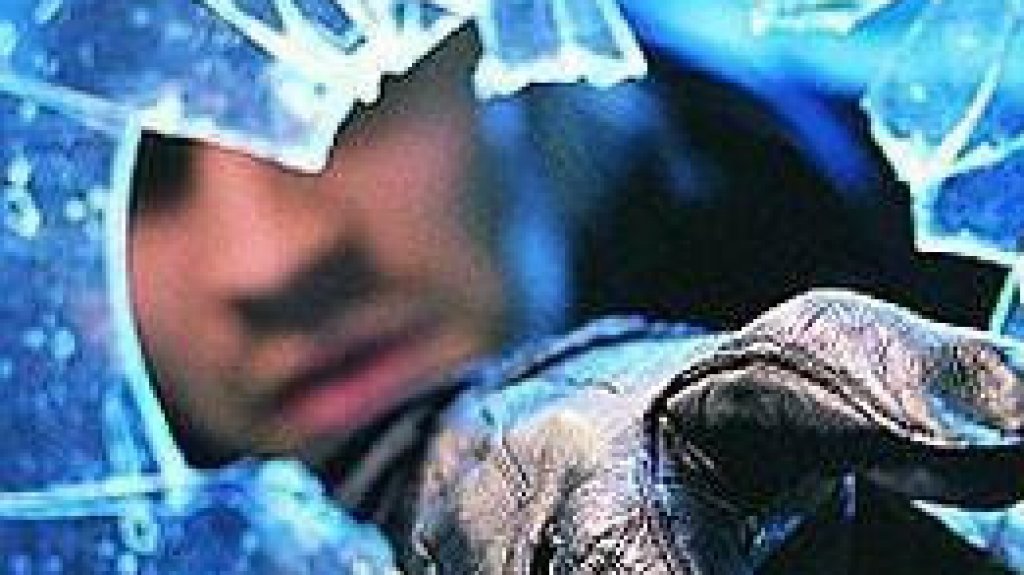  Escalan ferreter&iacute;a en Arroyo y se llevan 3,800 d&oacute;lares en efectivo 