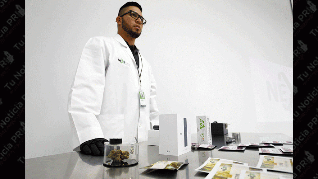  Distribuyen cannabis medicinal para tratar el alzheimer 