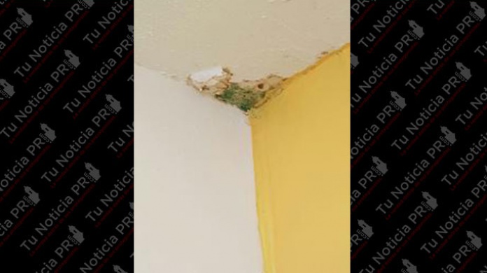 Peligro en escuela de Morovis, a raíz de las filtraciones de agua que sale por receptáculos y rosetas de los salones