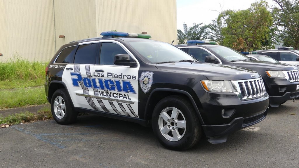  Reportan ataque de abejas a una mujer en Ceiba 