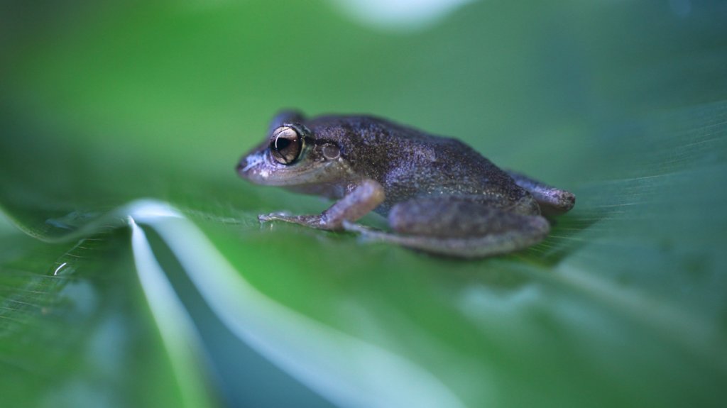  Discover Puerto Rico lanza la serie &ldquo;Sounds like Puerto Rico&rdquo; 