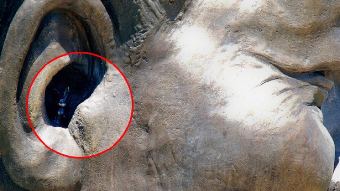 Hallan la escultura de un conejo en la oreja de la estatua de Mandela en Pretoria