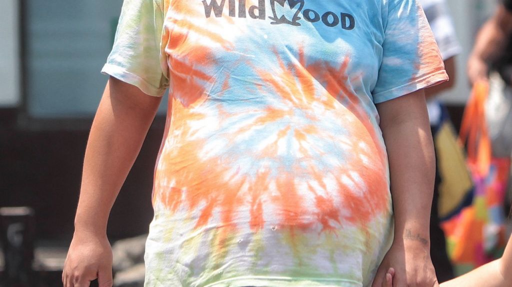  Diez meses c&aacute;rcel a mujer china por organizar turismo de maternidad en EEUU 