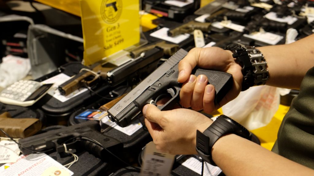 EE.UU.: CÃ¡mara Baja aprueba proyecto para facilitar el porte de armas entre estados