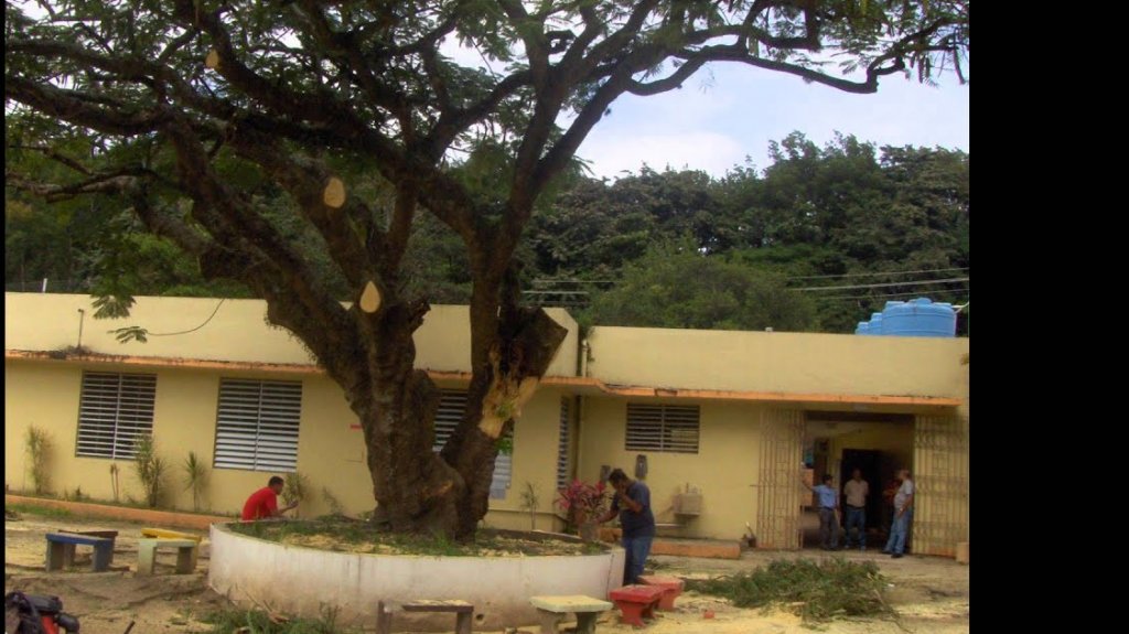  Legisladores del PNP piden a gobernadora explicaciones sobre escuela en Jayuya 