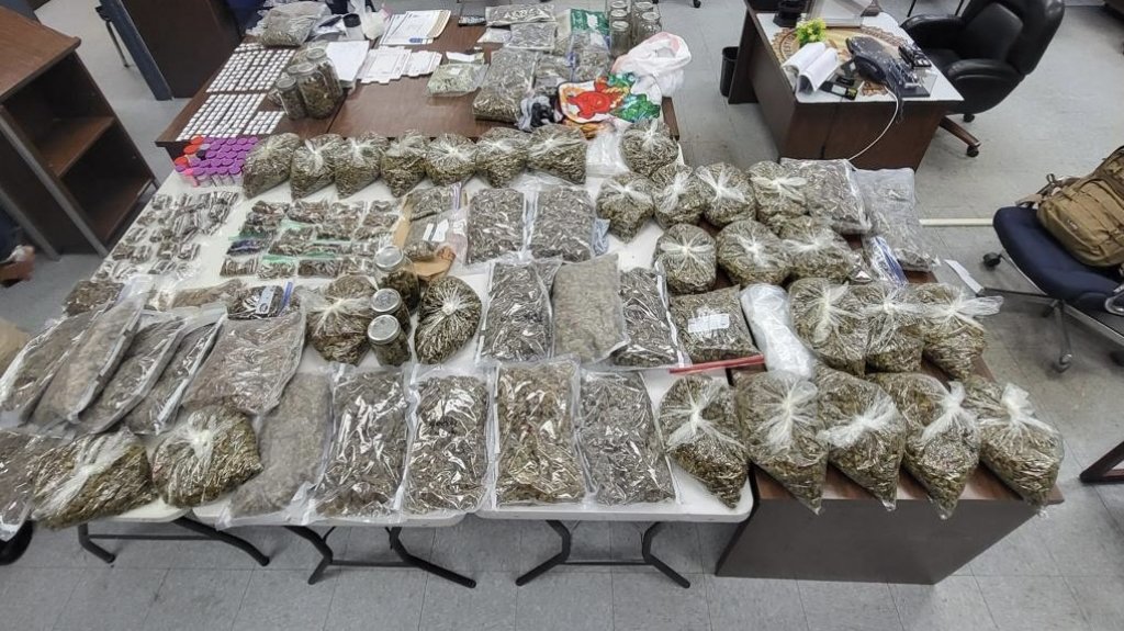  Video: Arresta a dos personas y ocupa gran cantidad de marihuana en medio de allanamiento en Dorado 