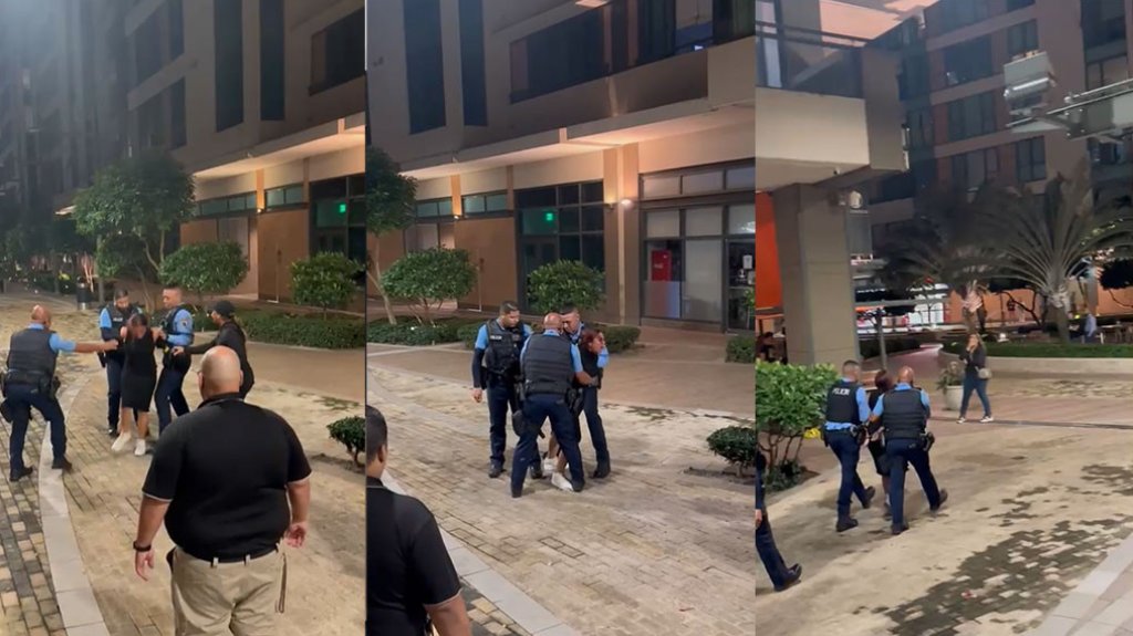  Video: Momento en que arrestan a una mujer alterada en condominio de Santurce 