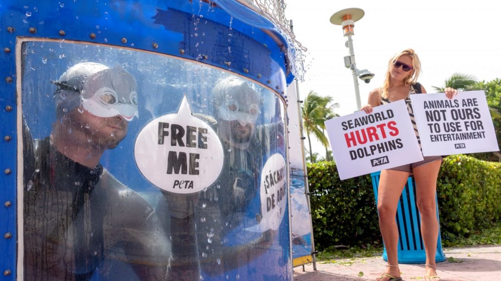  Activistas piden en Miami Beach liberaci&oacute;n de delfines de parques SeaWorld 
