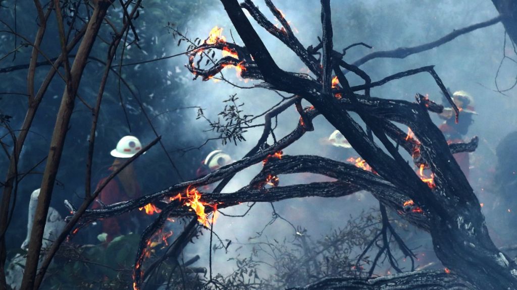  Un incendio ha consumido ya m&aacute;s de 700 acres en el condado de Miami-Dade 