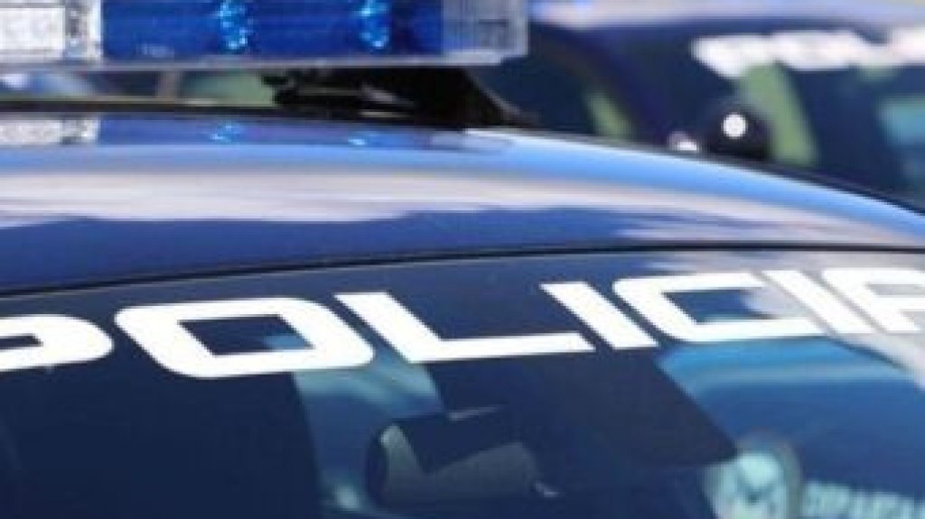  Roban vag&oacute;n vac&iacute;o de Suiza Dairy en Toa Baja 