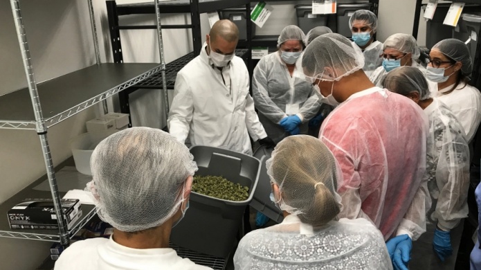 Profesionales de la salud se educan en proceso de producciÃ³n de cannabis medicinal