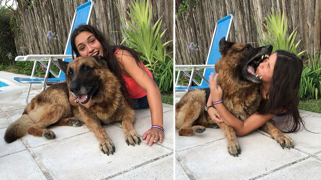  Fotos: Intent&oacute; hacerse "selfie" con su perro, la atac&oacute; y as&iacute; qued&oacute; su cara 