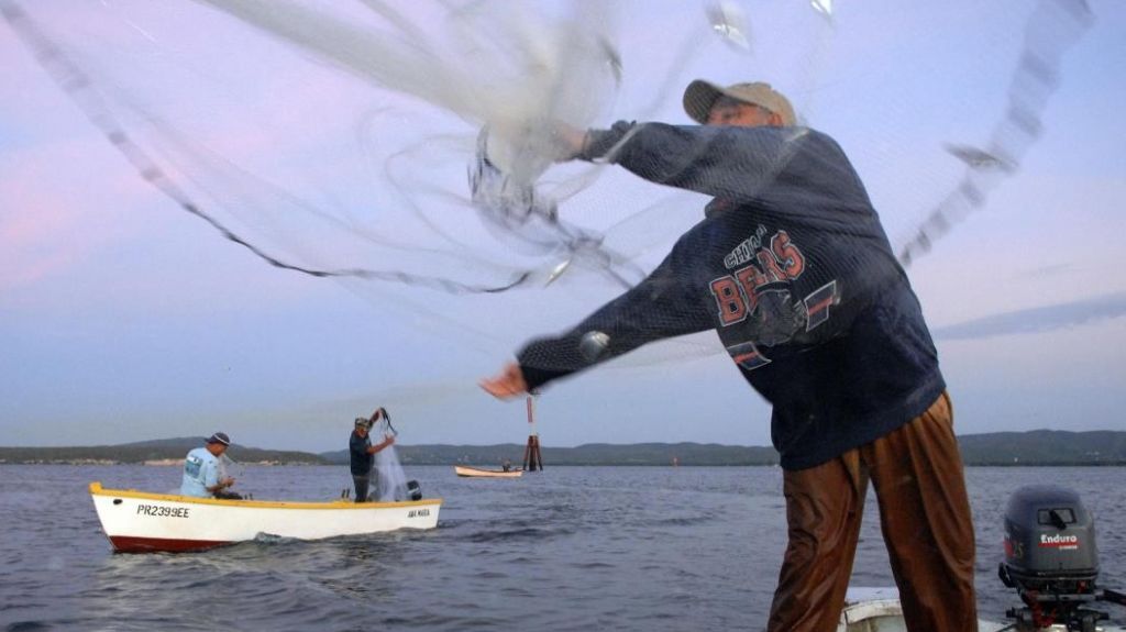  NOAA aprueba propuesta $9 millones para sector pesquero en Puerto Rico 