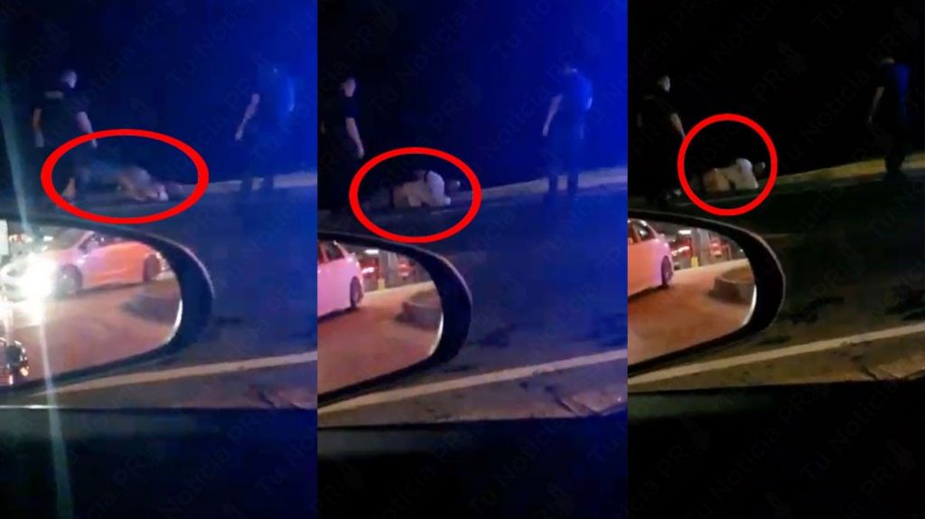  Publican video de minutos luego de un doble asesinato en negocio de Aguada esta madrugada 