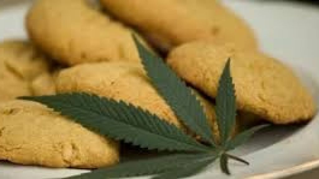  Menor de 3 a&ntilde;os intoxicado con Cannabis en Mayag&uuml;ez 