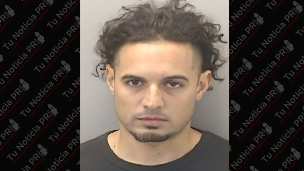  Arrestan a hombre buscado por Ley 54 en Guaynabo 