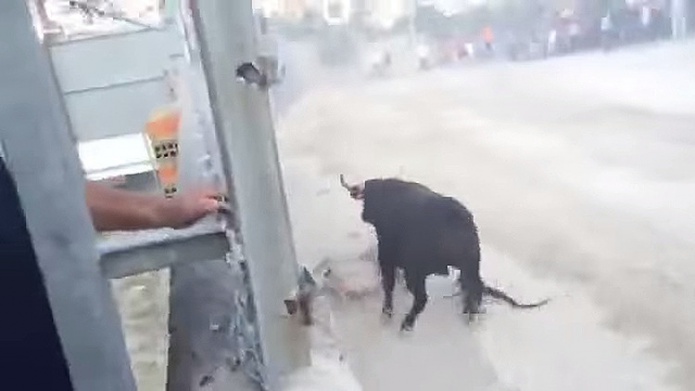 EspaÃ±a: Un hombre muere tras ser corneado en el corazÃ³n durante una fiesta taurina