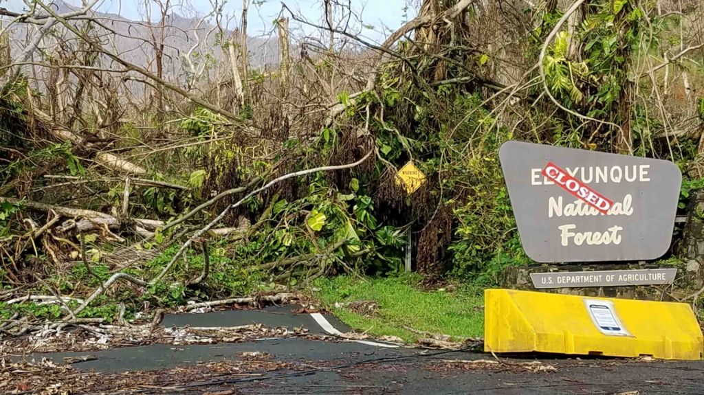 Bosque Nacional El Yunque busca recuperarse tras los huracanes Irma y MarÃ­a