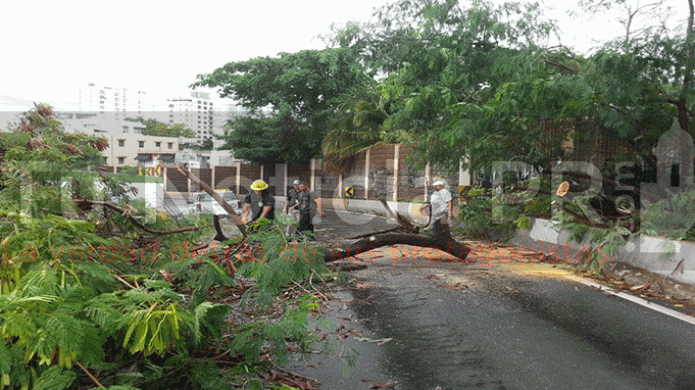 Ciudadanos cooperan con autoridades para re-abrir TÃºnel Minillas
