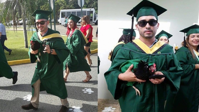 Estudiante de MayagÃ¼ez lleva a su gallina como pareja de graduaciÃ³n  