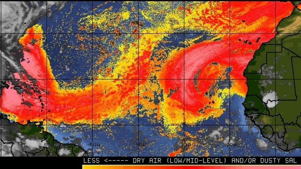  Contin&uacute;a la densa bruma sobre el archipi&eacute;lago 