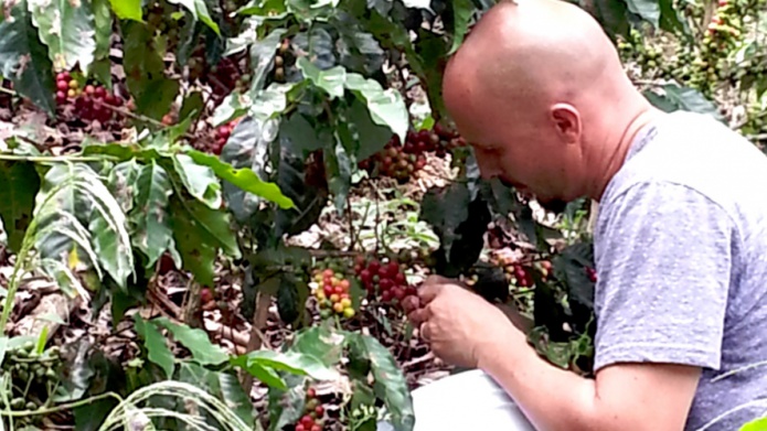 Segunda competencia Taza de oro de Puerto Rico