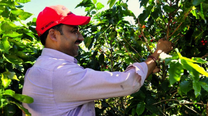 Senador RuÃ­z Nieves defiende arancel al cafÃ© extranjero para evitar alza en precio al consumidor local