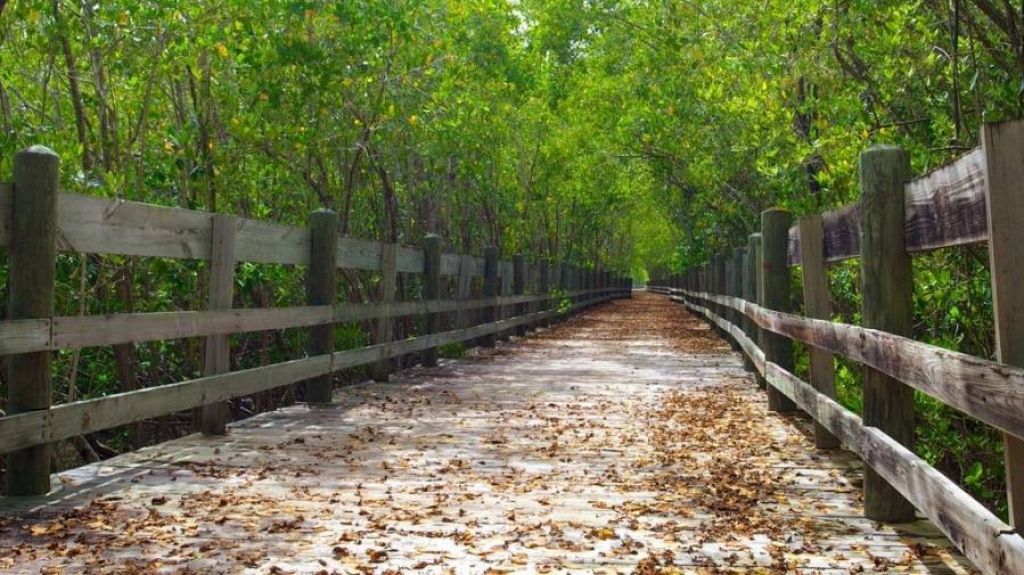  DRNA anuncia oportunidad de becas para programas de maestr&iacute;a o doctorado para el a&ntilde;o 2020-2021 