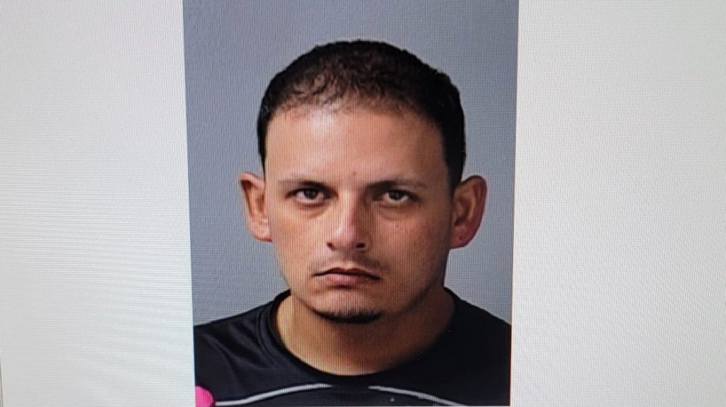  Radican cargos a hombre de 31 años por maltrato y Ley de Armas en Aibonito 