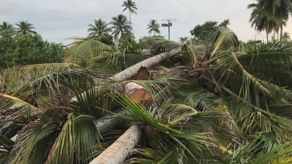  Vecinos de Vega Baja y Dorado se unen a demanda por masacre ambiental 