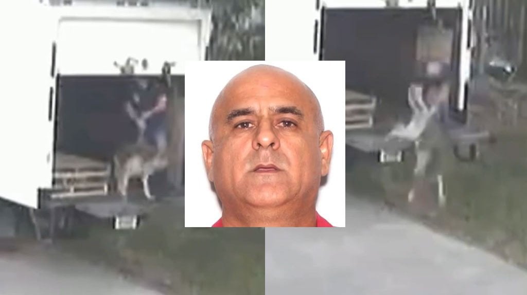 Video: Arrestan a hombre tras ser captado lanzando y abandonando a un perro anciano en Florida 